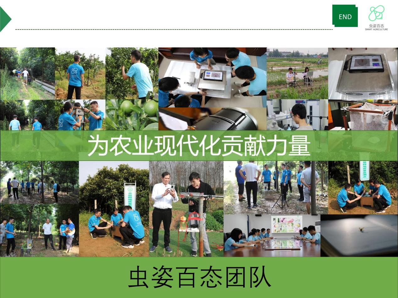 球王会体育平台网页
