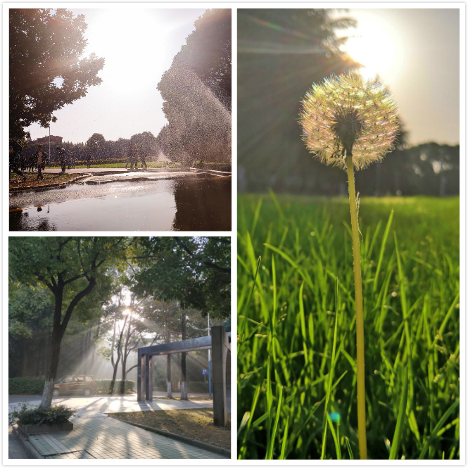 球王会体育平台网页