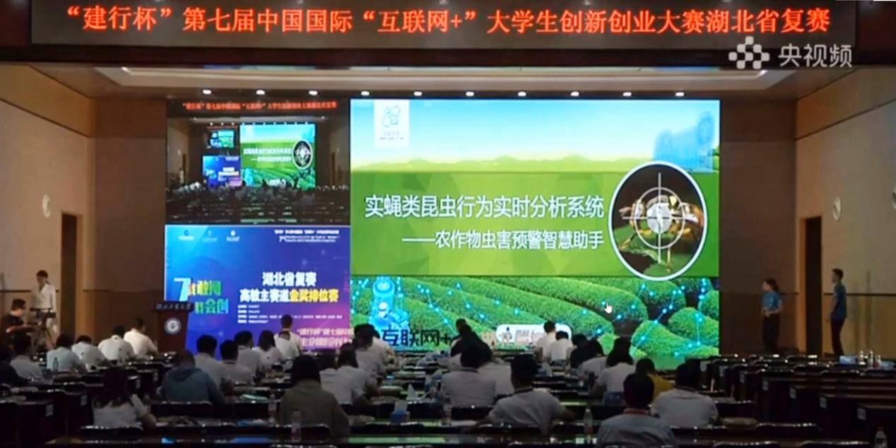 球王会体育平台网页