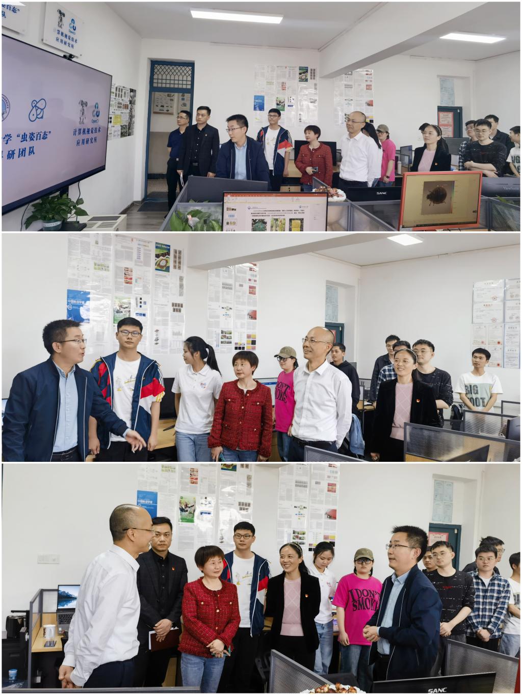 球王会体育平台网页
